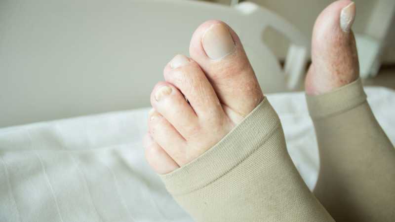 Joe Prachatree / Shutterstock.com