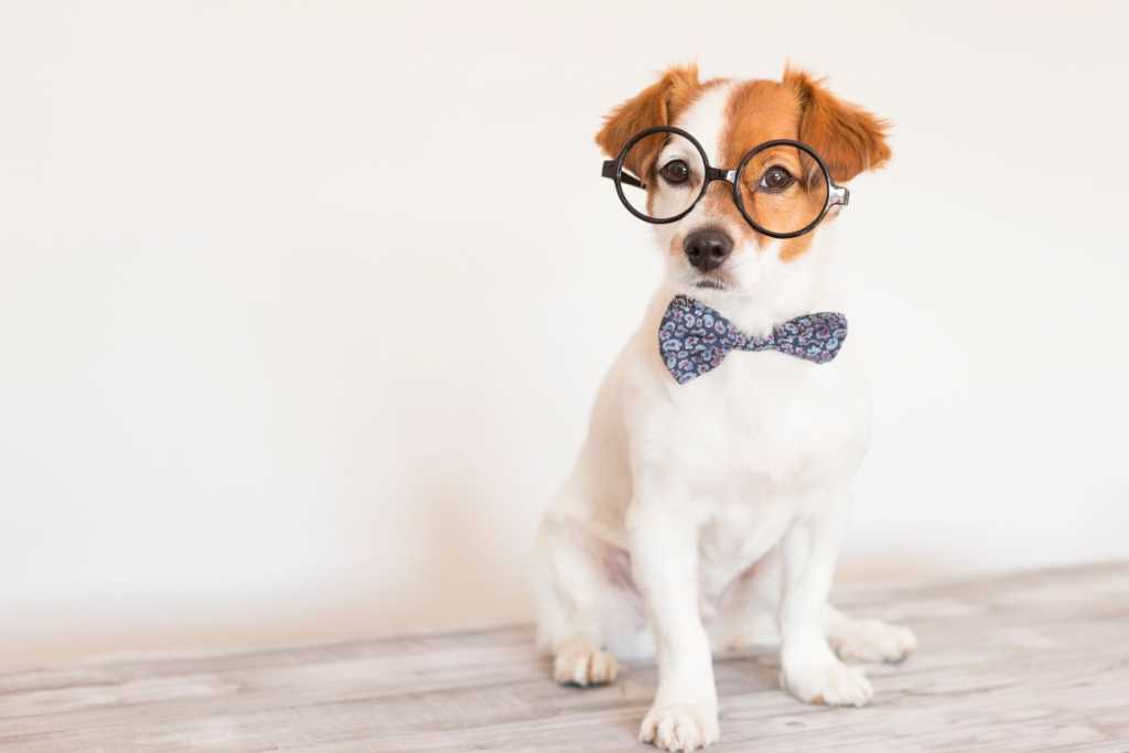 847 eva_blanco / Shutterstock